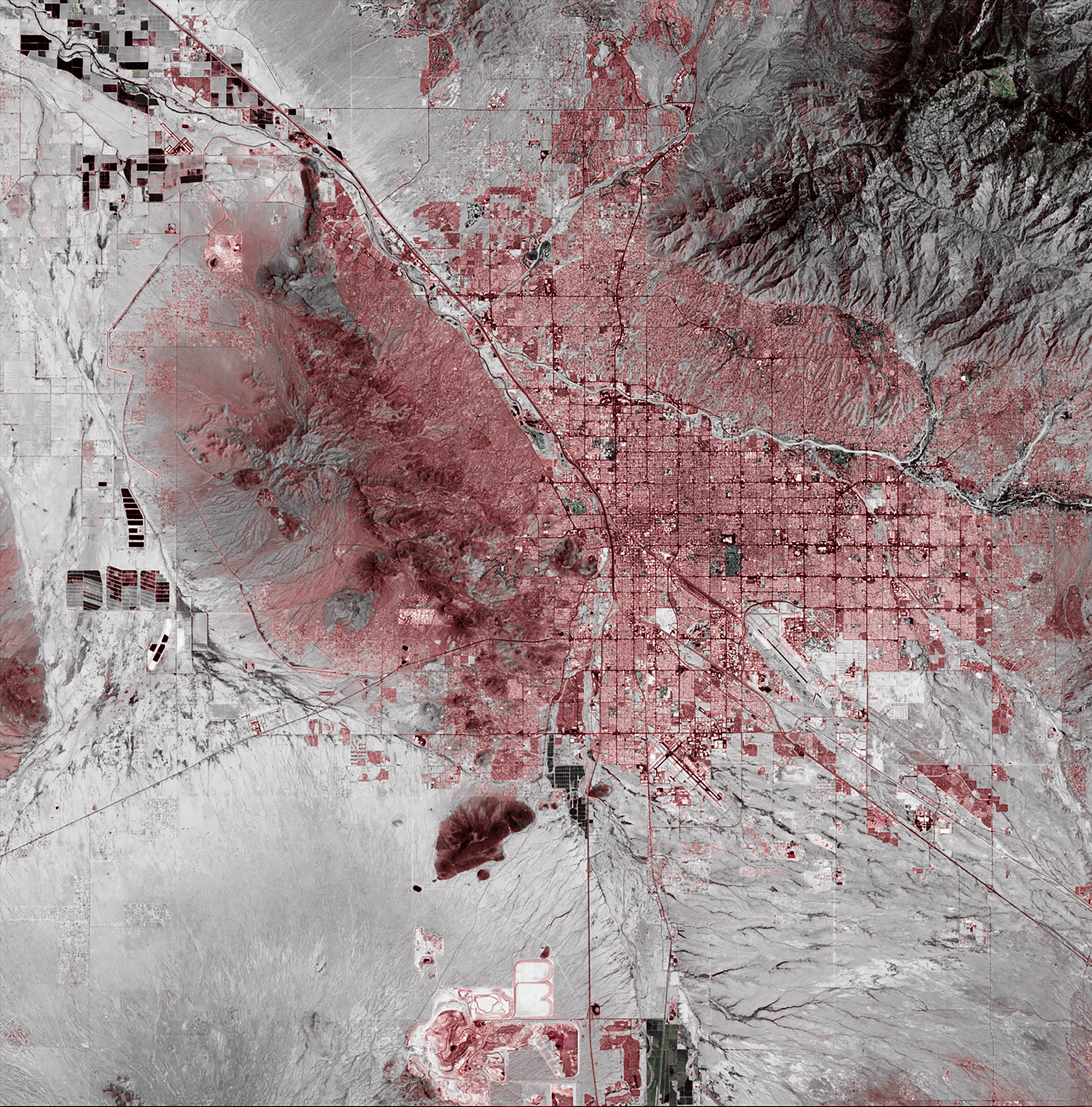 Infrastructure As Ecological Catalyst
